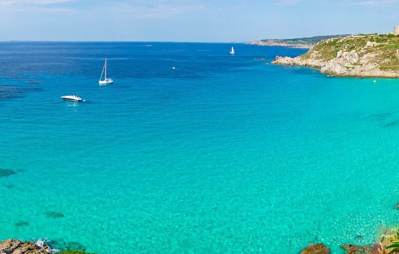 crucero single junio