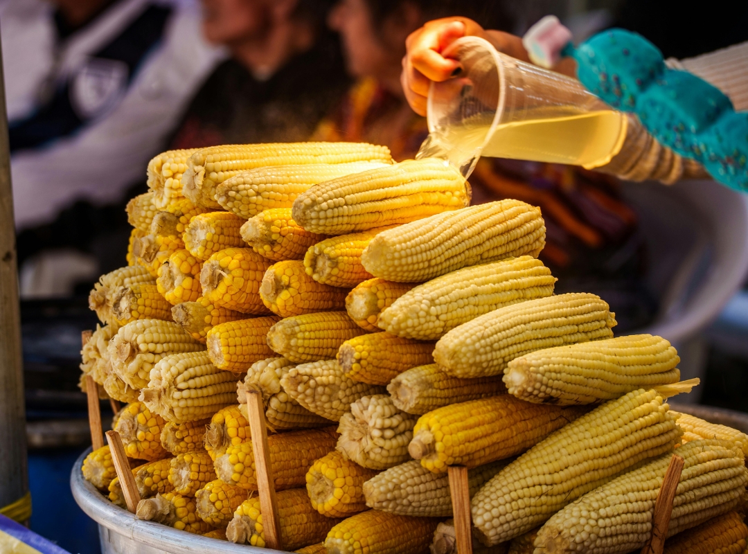comida guatemala comida guatemala