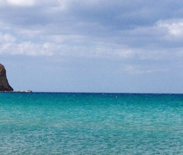 crucero en grupo single