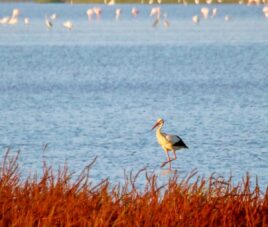Algarve y Andalucía en grupo