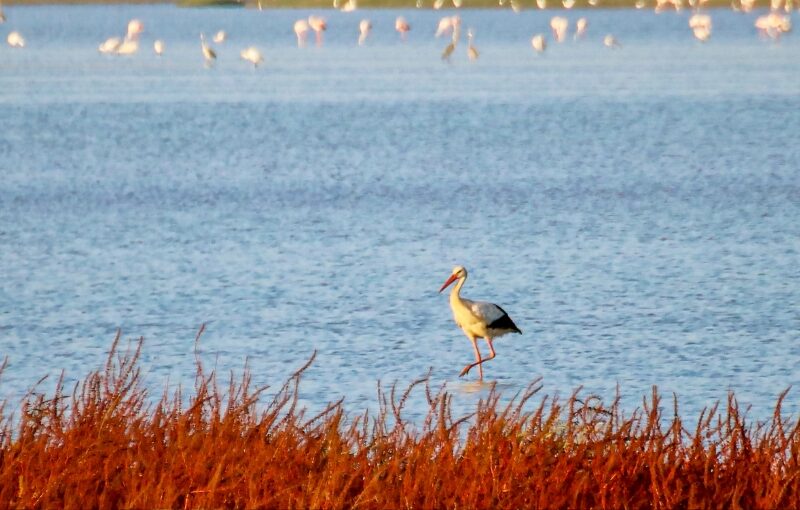 Algarve y Andalucía en grupo